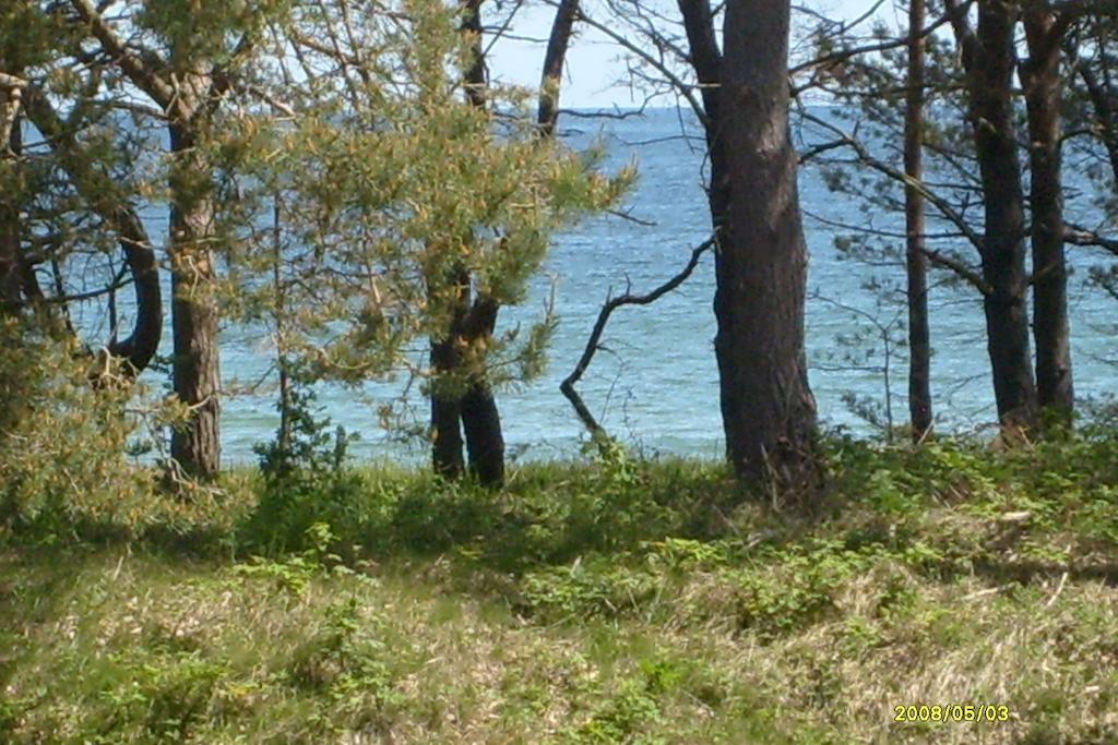 Apartment Mit Meeresblick Binz Quarto foto
